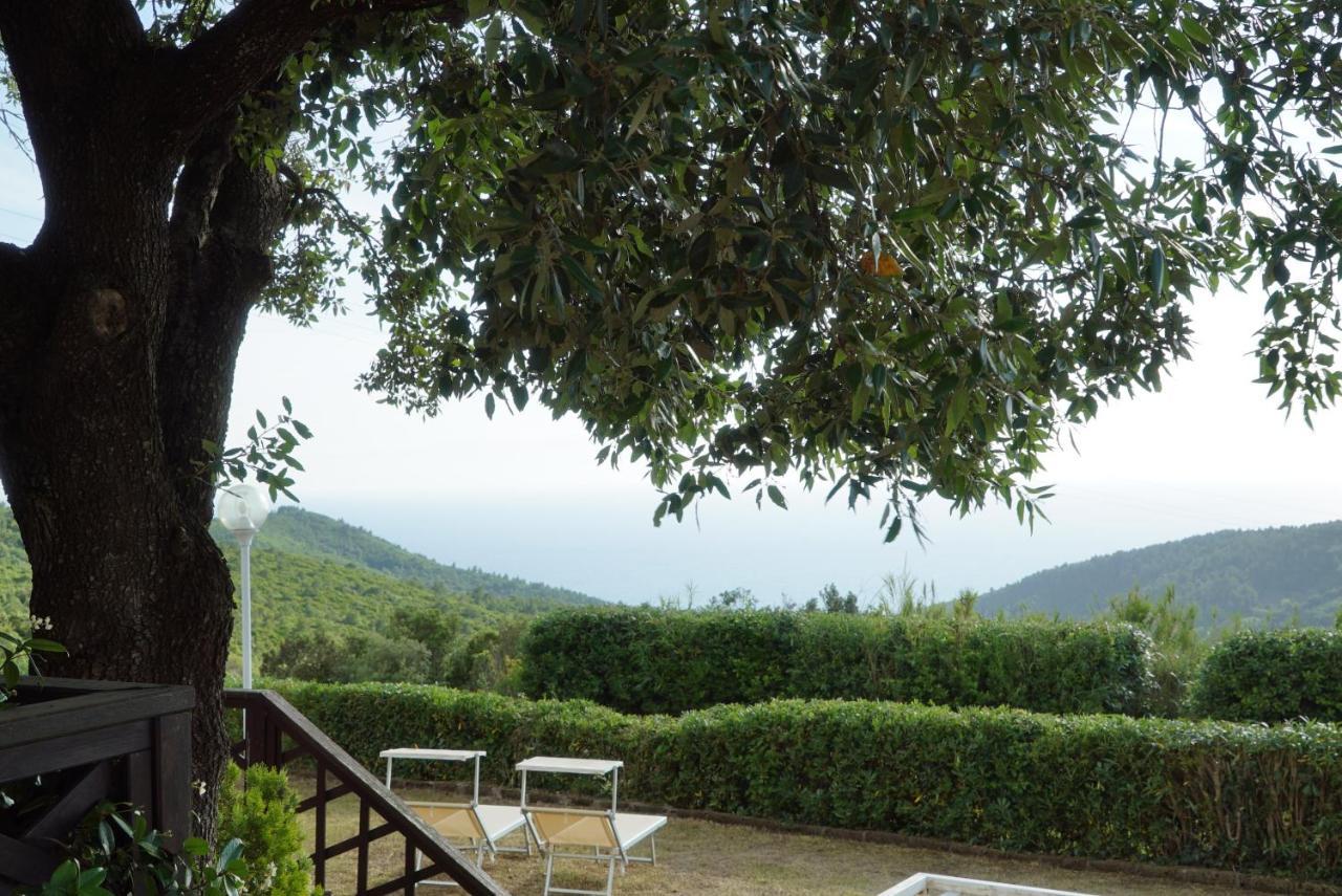 B&B Il Piccolo Paradiso Montenero  Luaran gambar